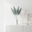 Fiori Pampas Grass Blue Stem