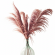 Fiori Pink Stem Pampas Grass