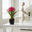 Fiori Pink Tropical Plant with Black Ceramic Pot