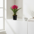 Fiori Pink Tropical Plant with Black Ceramic Pot