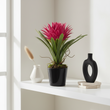 Fiori Pink Tropical Plant with Black Ceramic Pot
