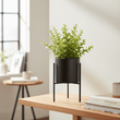 Fiori Thyme