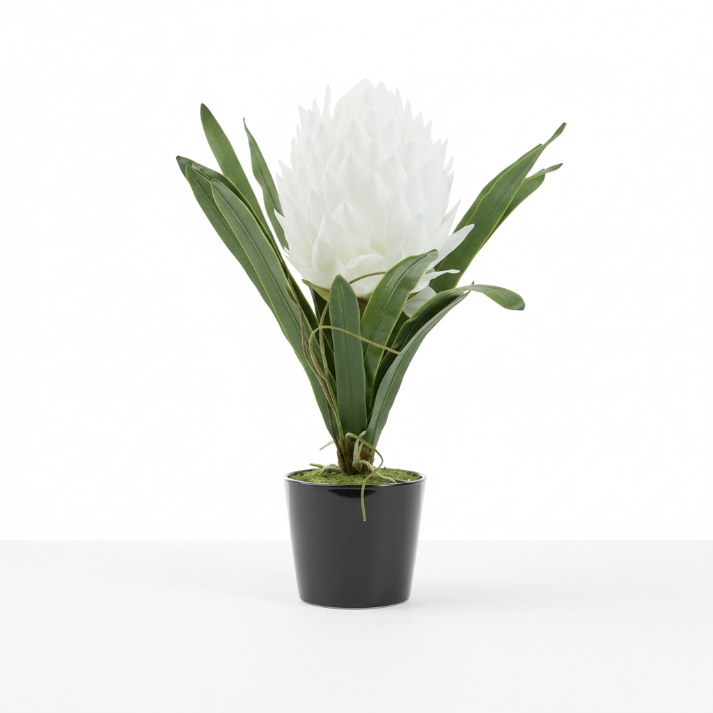 Fiori White Tropical Plant