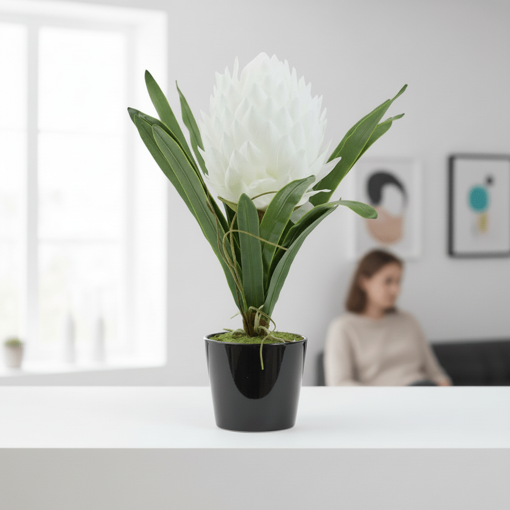 Fiori White Tropical Plant