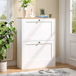 Flip Down Shoe Cabinet