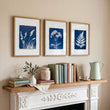 Floral Artwork Indigo Cyanotype Botanical Nature wall art displayed on a wall in a styled room — view 3