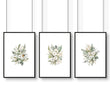 Floral Poster | Set of 3 wall art prints