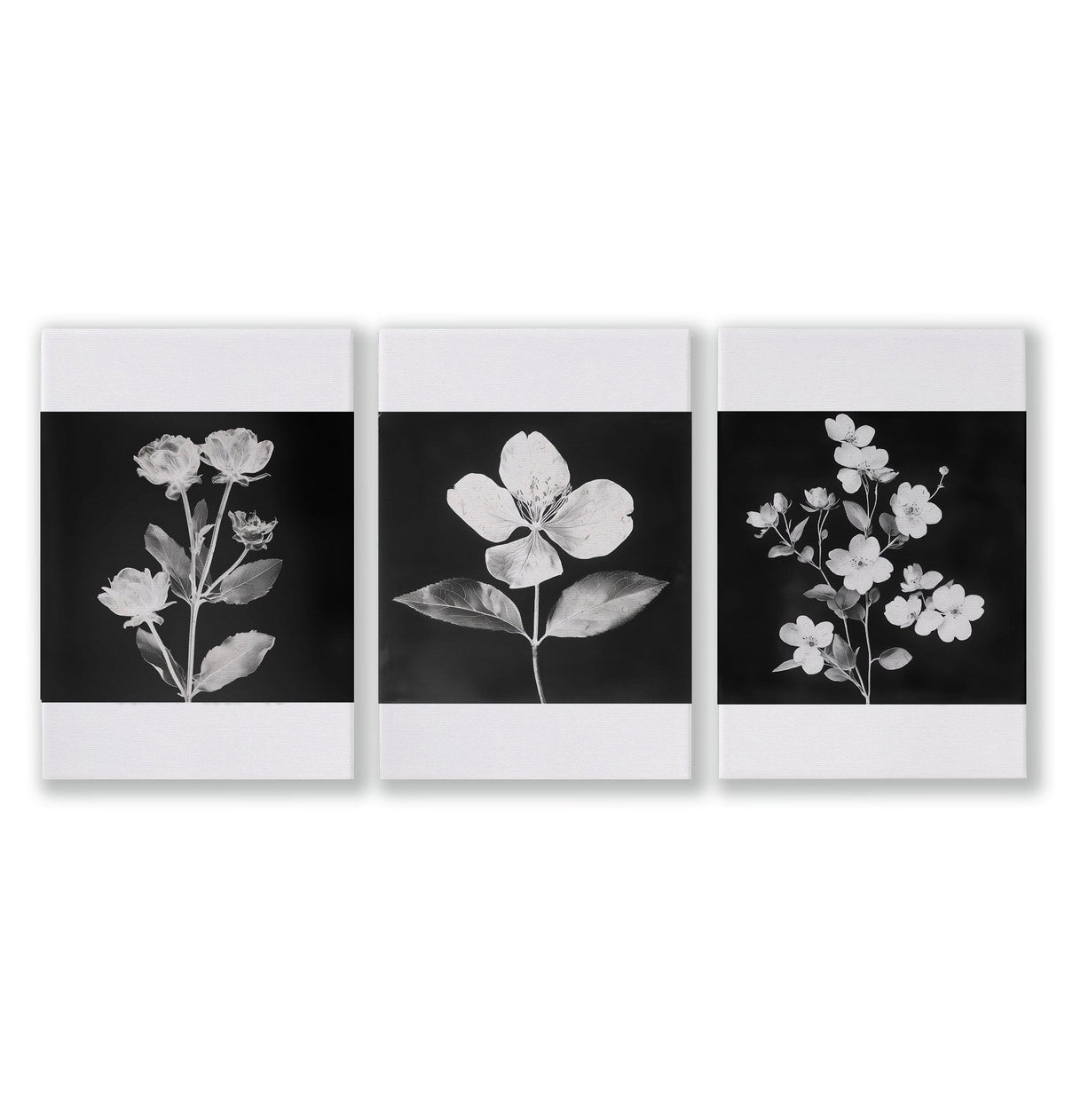 Floral Wall Art | Charcoal & White Botanical Botanical Prints | Set of 3