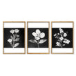 Floral Wall Art | Charcoal & White Botanical Botanical Prints | Set of 3