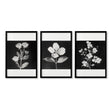 Floral Wall Art | Charcoal & White Botanical Botanical Prints | Set of 3