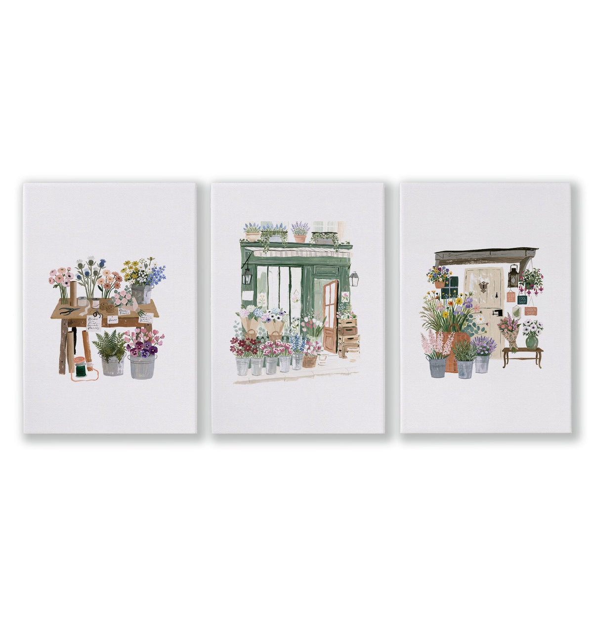 Flowers Art Botanical Flower Shop Watercolour Wall Art Prints | Set of 3