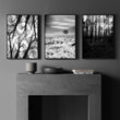 Forest Artwork Black & White Photography wall art displayed on a wall in a styled room