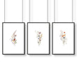 Framed Floral Prints | Set of 3 wall art prints