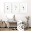 Framed Floral Prints | Set of 3 wall art prints