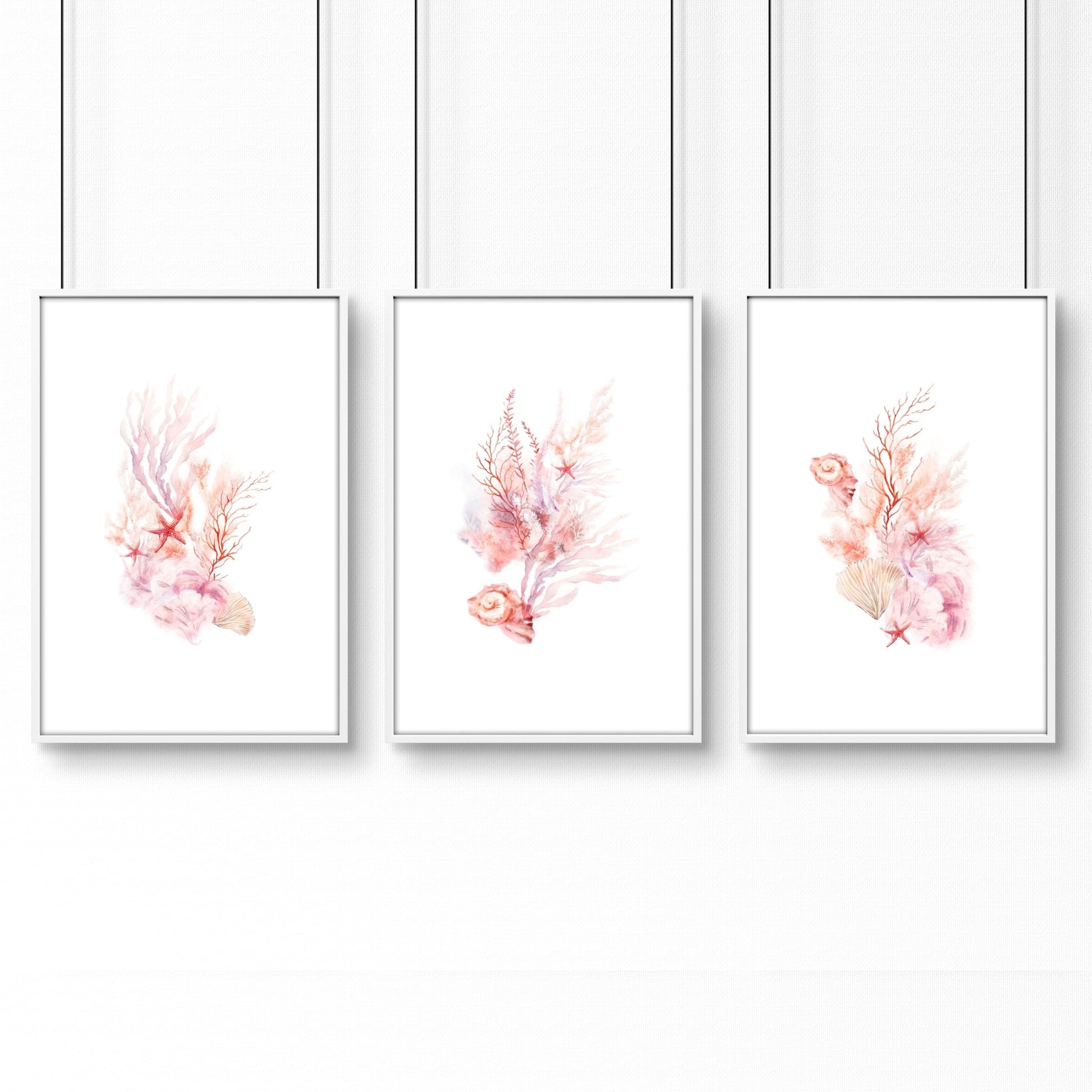 Framed Pictures For The Bathroom | Set of 3 Seashells Wall art Prints