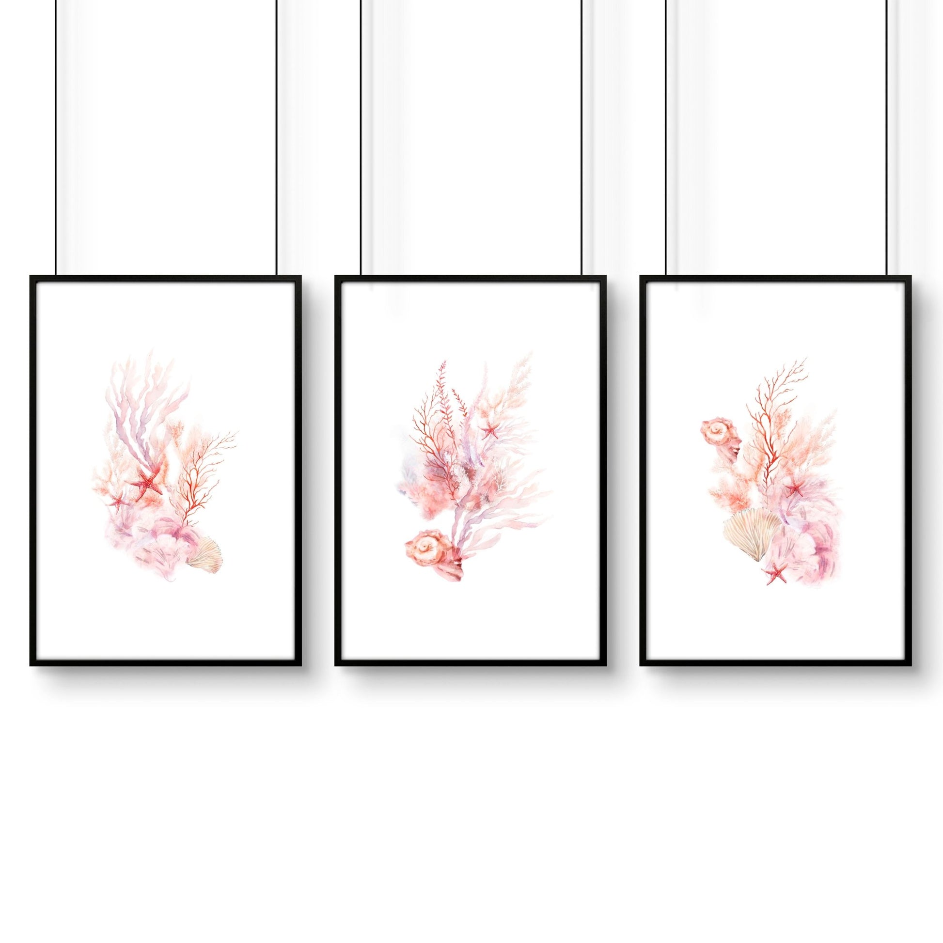 Framed Pictures For The Bathroom | Set of 3 Seashells Wall art Prints