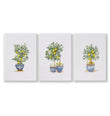 Green Wall Art French Country Lemon Tree Watercolour wall art as a wrapped canvas