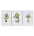 Green Wall Art French Country Lemon Tree Watercolour Prints | Set of 3