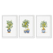 Green Wall Art French Country Lemon Tree Watercolour Prints | Set of 3