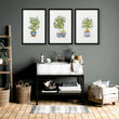 Green Wall Art French Country Lemon Tree Watercolour Prints | Set of 3