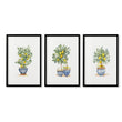 Green Wall Art French Country Lemon Tree Watercolour Prints | Set of 3