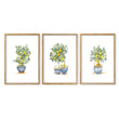 Green Wall Art French Country Lemon Tree Watercolour Prints | Set of 3