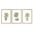 Green Wall Art French Country Lemon Tree Watercolour wall art in an oak frame