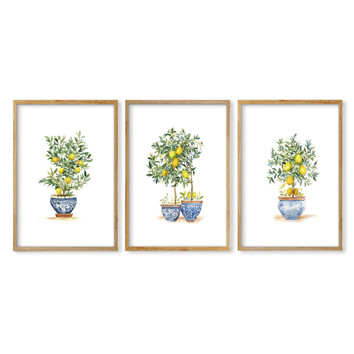 Green Wall Art French Country Lemon Tree Watercolour wall art in an oak frame