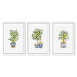 Green Wall Art French Country Lemon Tree Watercolour wall art in a white frame