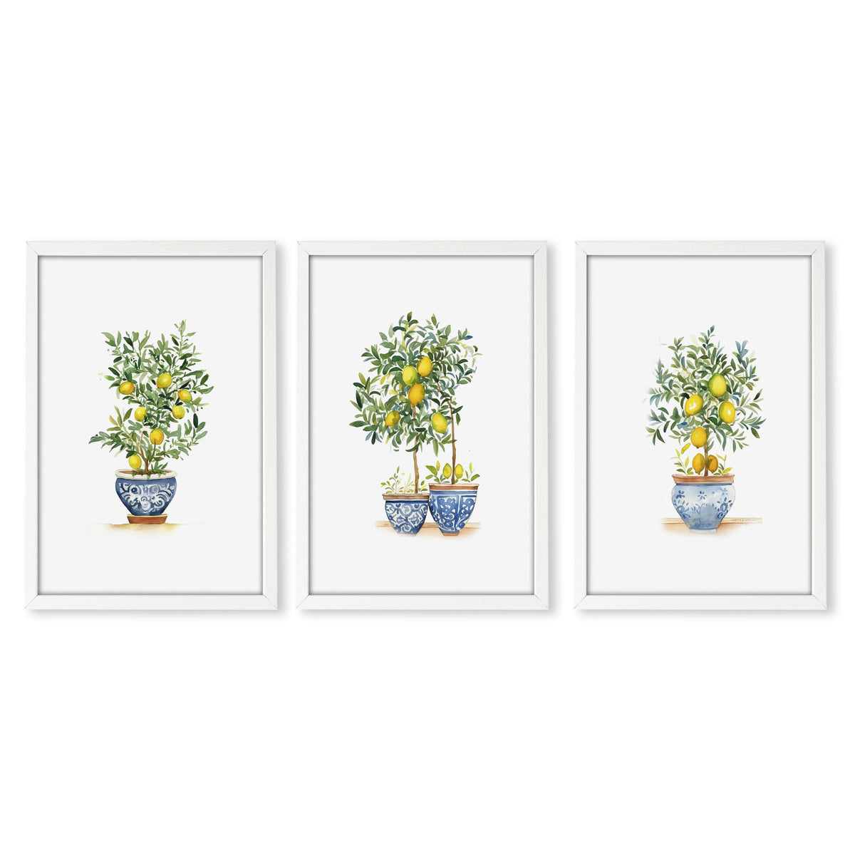 Green Wall Art French Country Lemon Tree Watercolour wall art in a white frame
