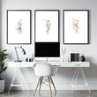 Home Office Wall Decorations | Set of 3 wall art prints