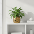 Honna Large Ceramic Planter