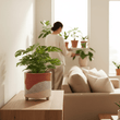 Jada Large Planter