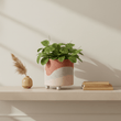 Jada Large Planter