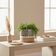 Jada Large Striped Planter