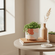 Jada Small Planter