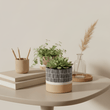 Jada Small Striped Planter