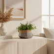 Jet Large Metallic Planter