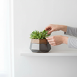 Jet Small Metallic Planter