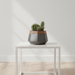 Jet Small Metallic Planter