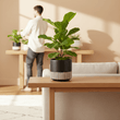 Kiso Large Ceramic Planter