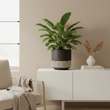 Kiso Large Ceramic Planter