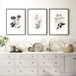Kitchen Art Wall Decor French Country Botanical Ivory Grey Floral wall art displayed on a wall in a styled room — view 3