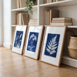 Large Art for Living Room Indigo Cyanotype Botanical wall art displayed on a wall in a styled room