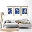 Large Art for Living Room Indigo Cyanotype Botanical wall art displayed on a wall in a styled room — view 9