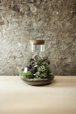 Large Lab Jar Terrarium 30x27cm FR35