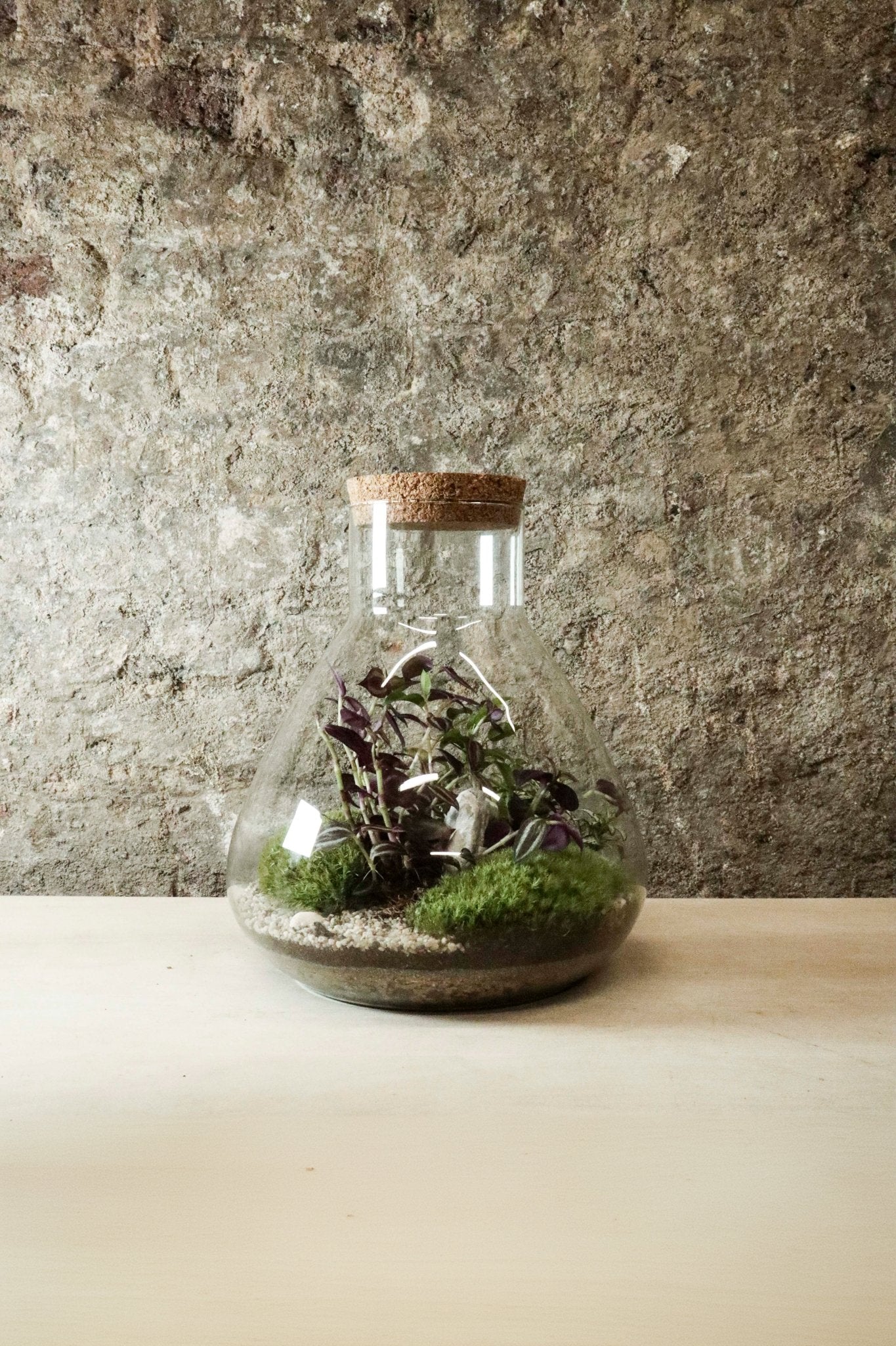 Large Lab Jar Terrarium 30x27cm FR35