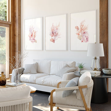 Large Paintings For Wall | Set of 3 Seashells Wall art Prints