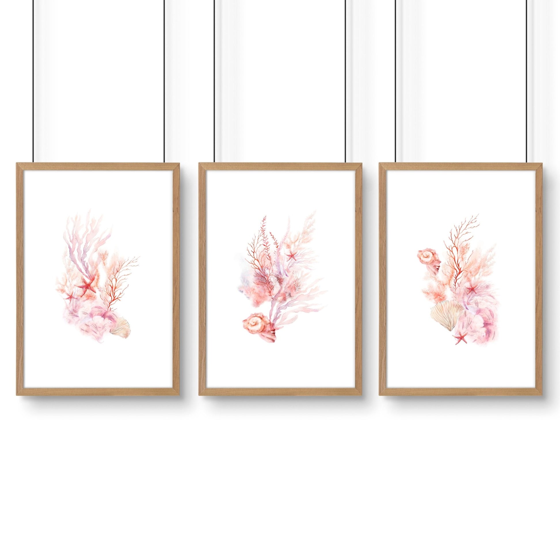 Large Paintings For Wall | Set of 3 Seashells Wall art Prints