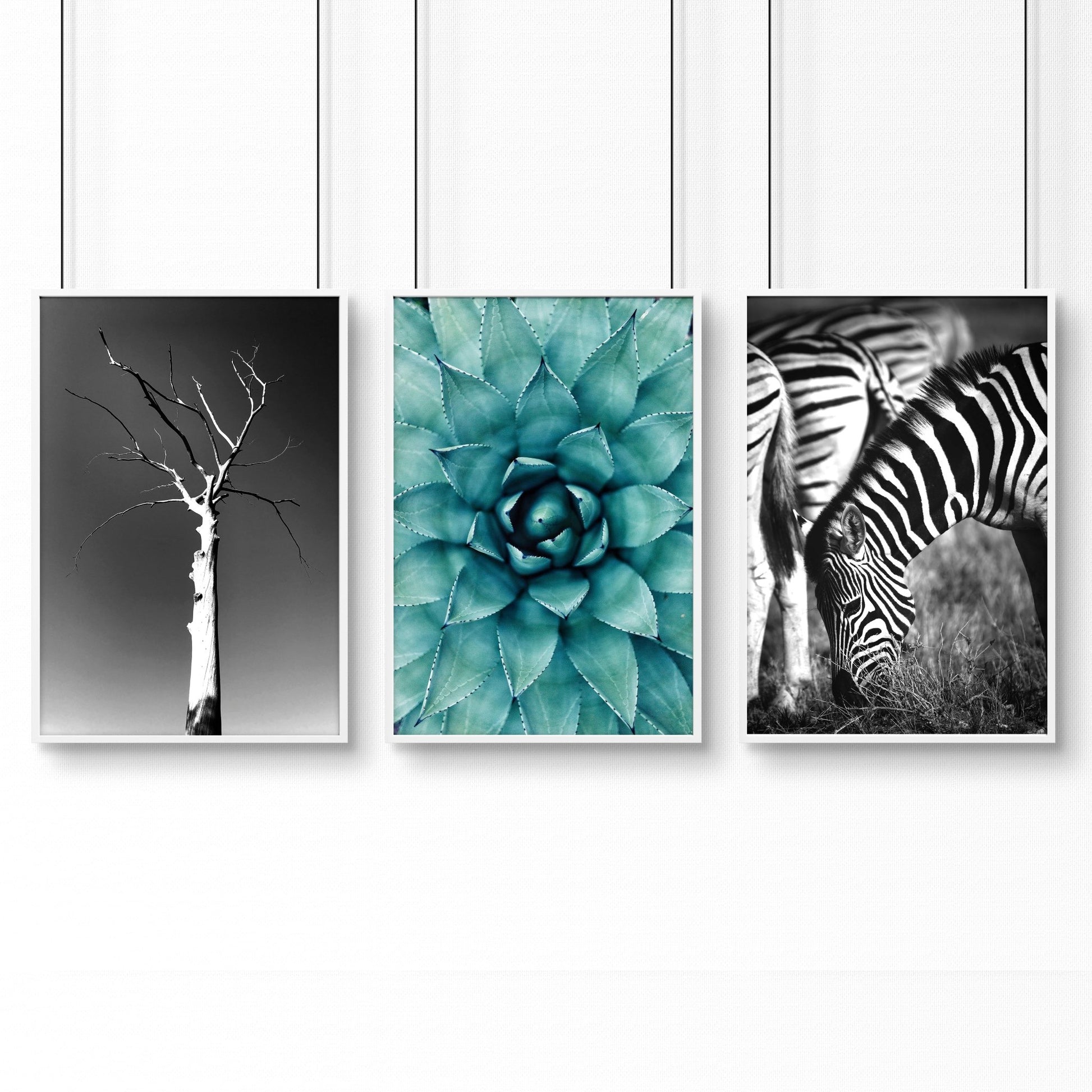 Large Picture Living Room | Set of 3 African Wildlife Wall art Prints